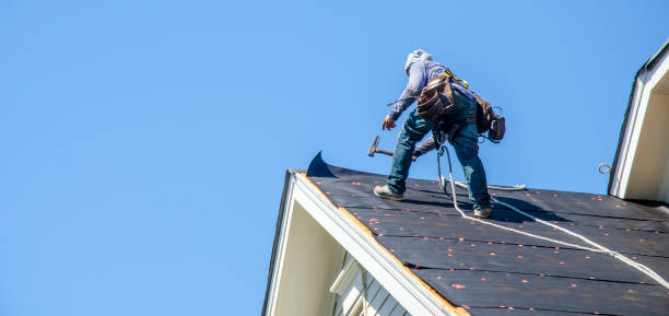 Roof Gutter Cleaning in Victoria, VA