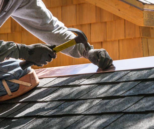 Best Roof Maintenance Services  in Victoria, VA